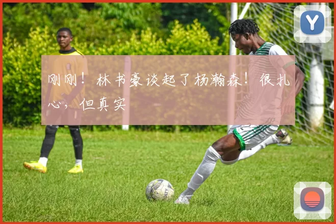 刚刚！林书豪谈起了杨瀚森！很扎心，但真实