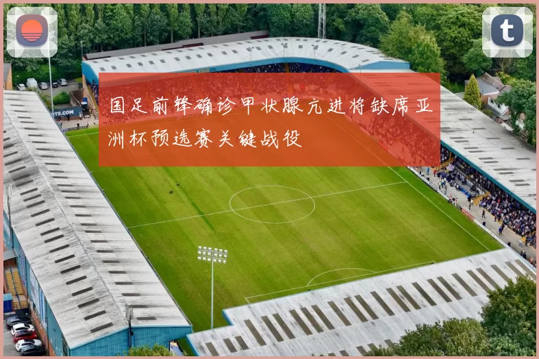 国足前锋确诊甲状腺亢进将缺席亚洲杯预选赛关键战役