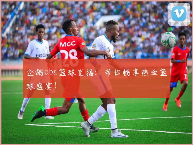 企鹅cba篮球直播:带你畅享热血篮球盛宴!