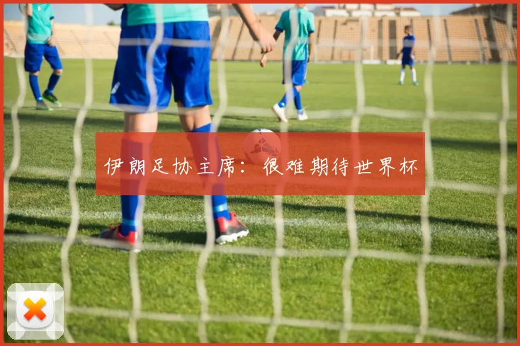 伊朗足协主席：很难期待世界杯