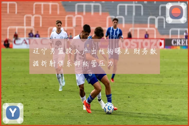 辽宁男篮投入产出结构曝光 财务数据折射俱乐部经营压力