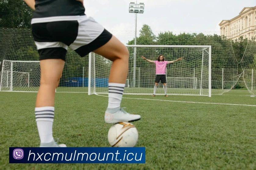 九游(NINE GAME)体育·官方网站 - 中国智慧体育科技领导者发展历程